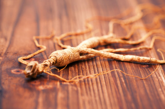 American Ginseng History